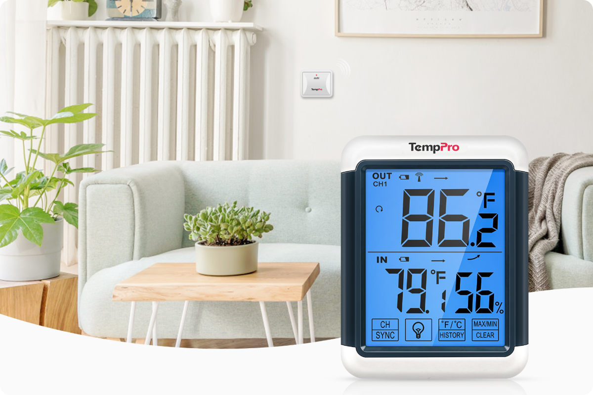 TempPro TP65B