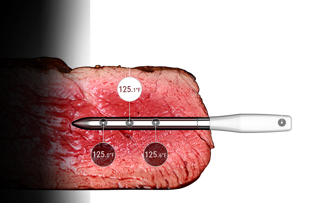 TempSpike Pro TP980 2 Probes
