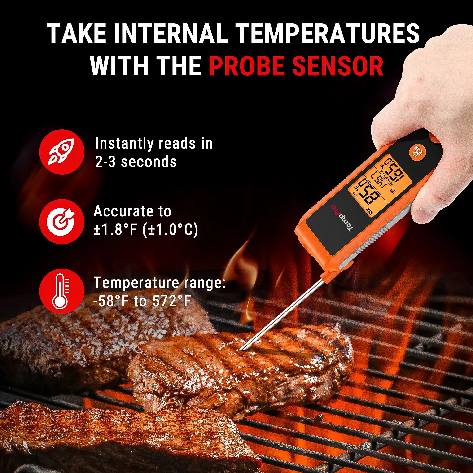 TempSpike Pro TP980 2 Probes  & TempPro TP420