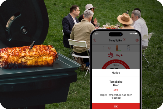 Set Target Temps, Get Notified Instantly ThermoPro