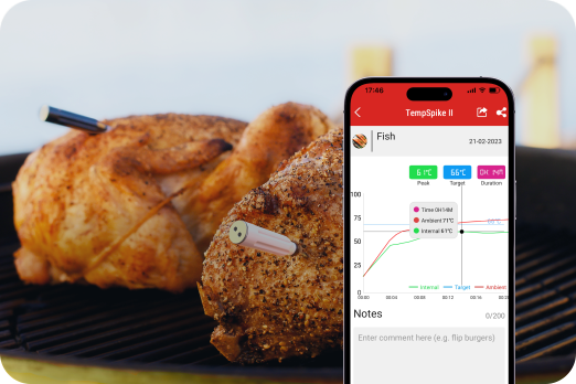 Real-Time Temperature Graphs ThermoPro