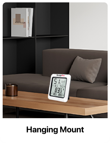 Thermomètre hygromètre Bluetooth TP350