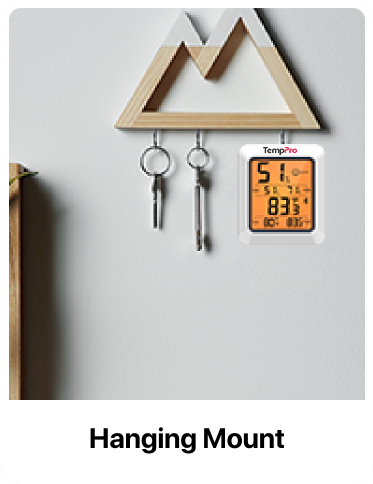 Thermomètre hygromètre Bluetooth TP350