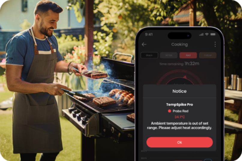 Real-Time Temperature Updates ThermoPro