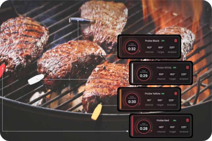 Monitor Multiple Dishes at Once ThermoPro