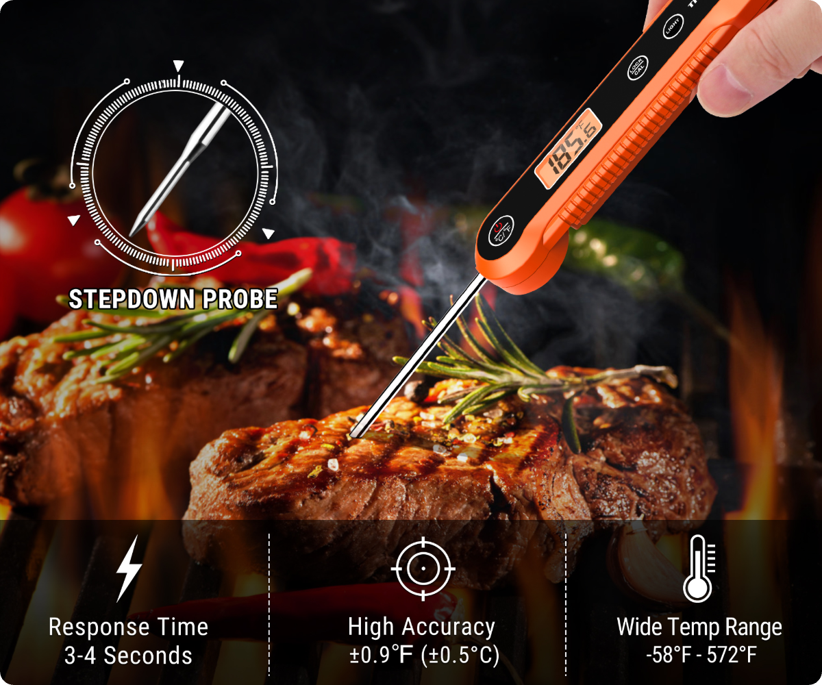 TempPro TP20B & TempPro TP03H