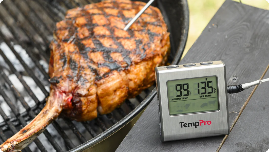 TempPro TP16