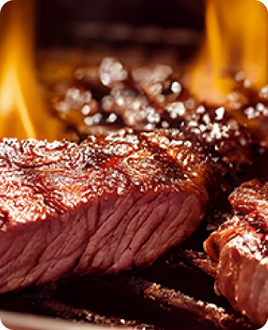 Thermomètre à viande à lecture instantanée TP19H