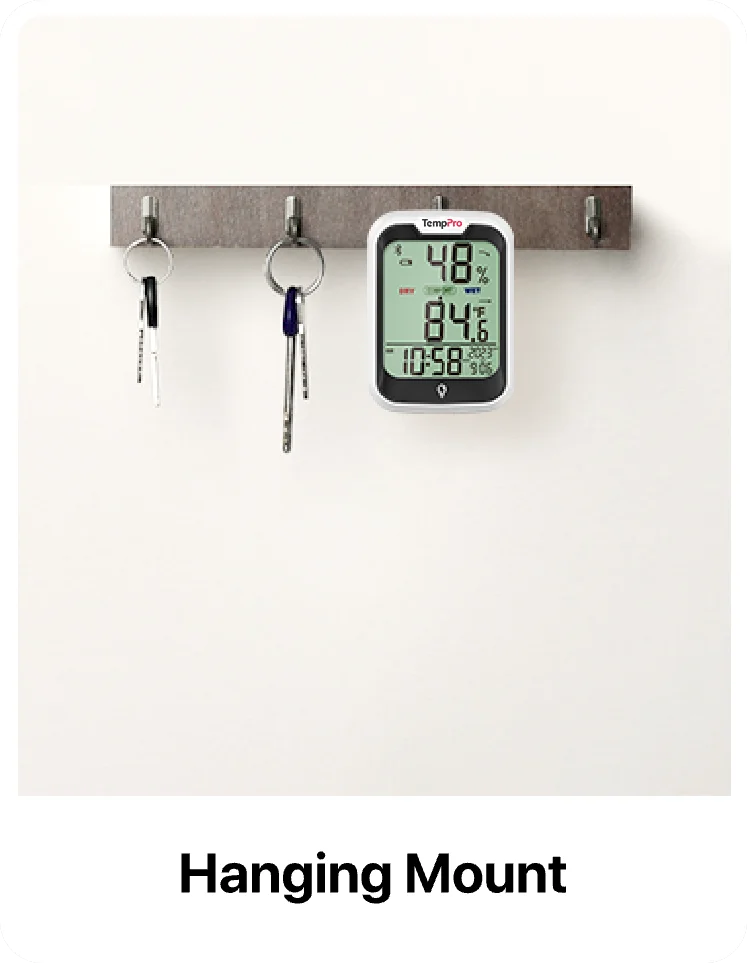 Thermomètre et hygromètre d'intérieur Bluetooth ThermoPro TP358