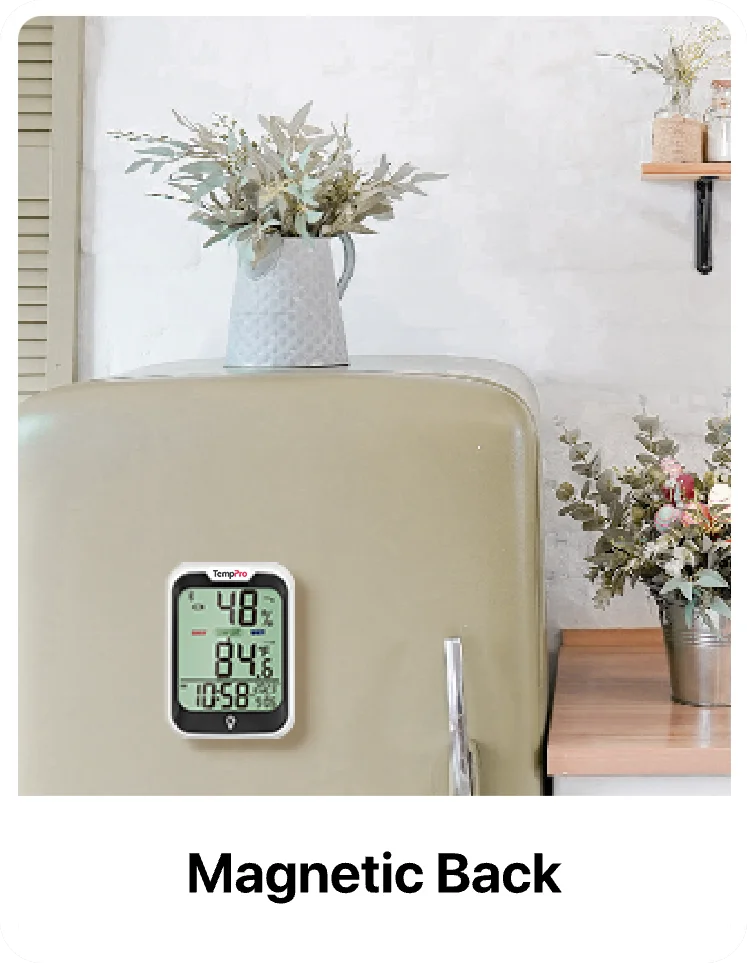 Thermomètre et hygromètre d'intérieur Bluetooth ThermoPro TP358