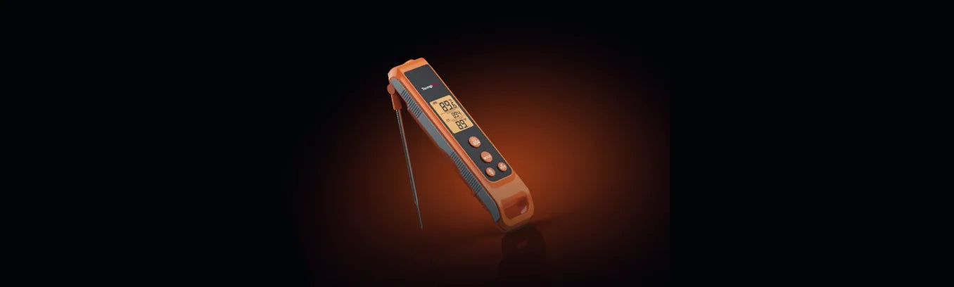 TempPro TP420