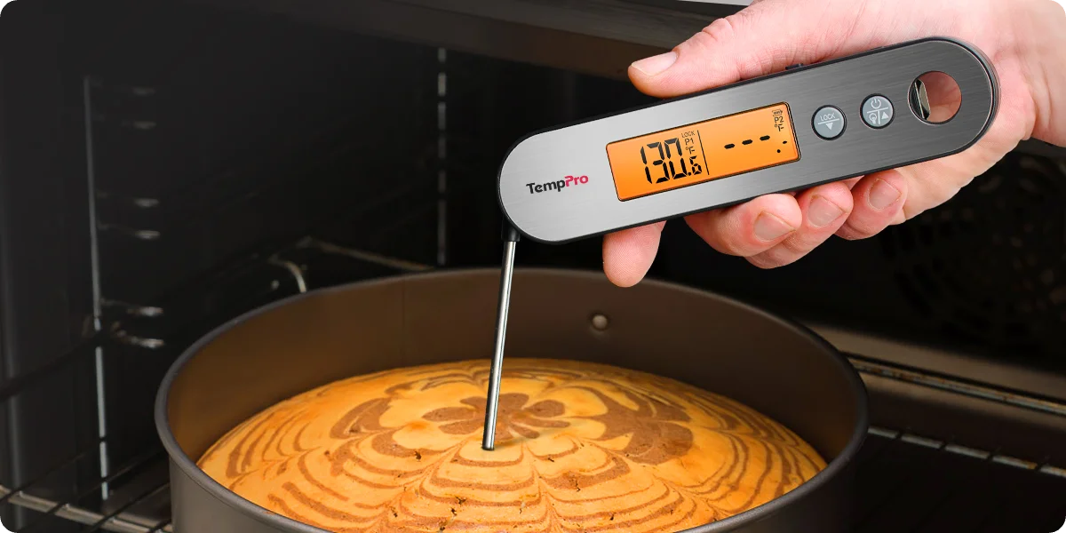 TempPro TP610