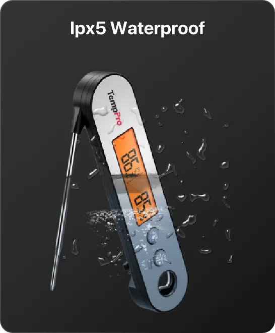 TempPro TP610