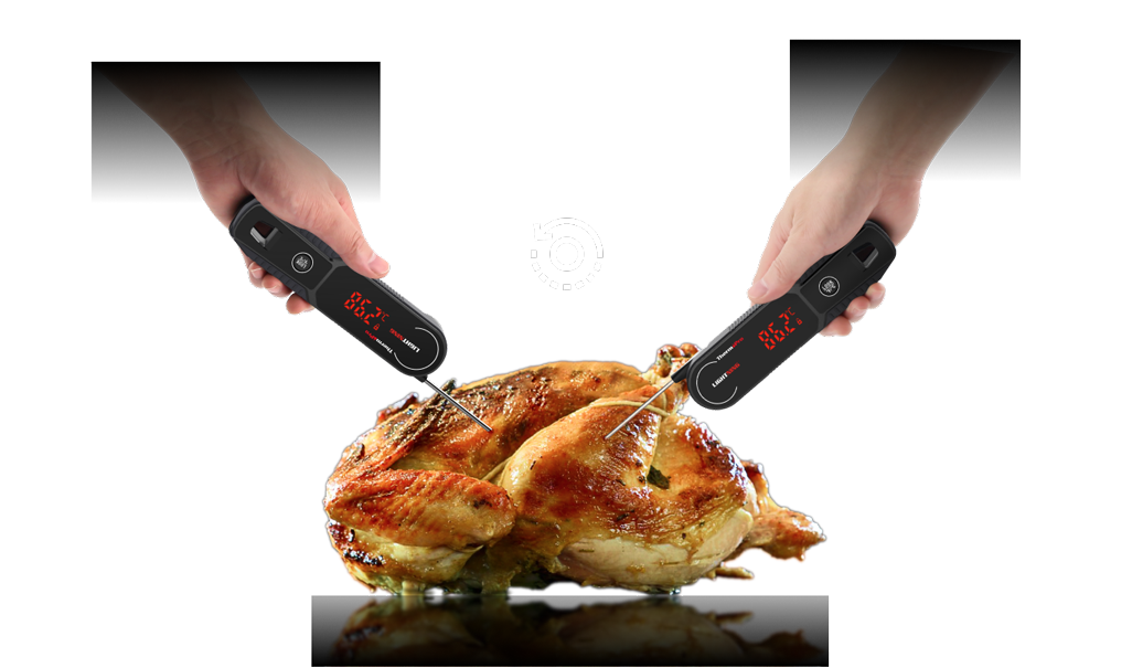 TempSpike Pro TP980 2 Probes & Lightning TP622