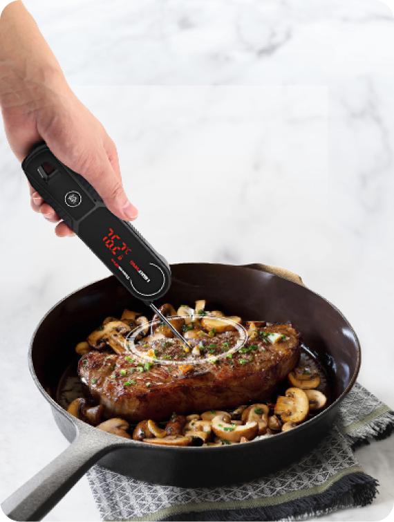 TempSpike Pro TP980 2 Probes & Lightning TP622