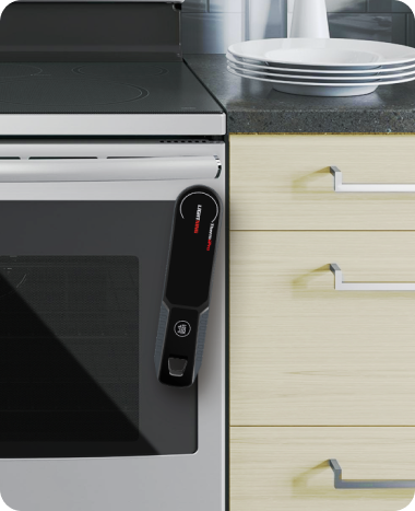 TempSpike Pro TP980 2 Probes & Lightning TP622