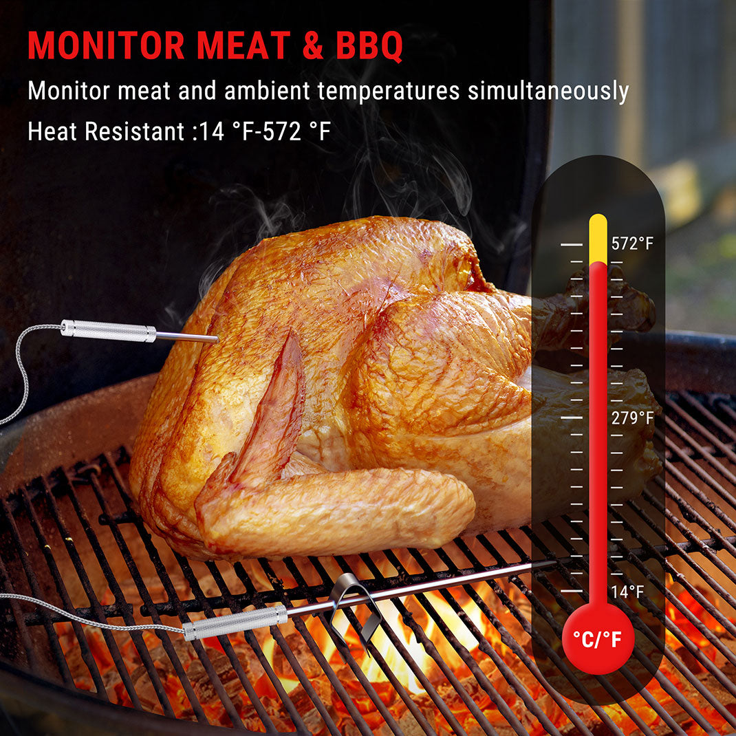 Thermomètre à viande sans fil TP828B