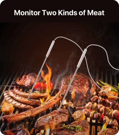 TempPro TempSync PLUS TP828BW Wireless Meat Thermometer — 500FT RF, Dual Probes, 4 Alarm Modes · Store Edition