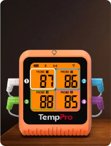 TempPro TP930