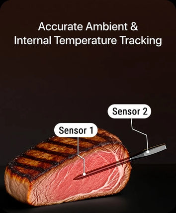 Termómetro de Carne Inteligente Inalámbrico TempPro TempSpike Plus TP970 — Totalmente Inalámbrico, Bluetooth de 180 m