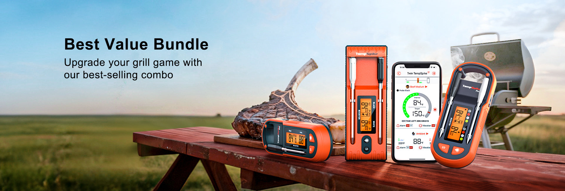 TempPro product banner