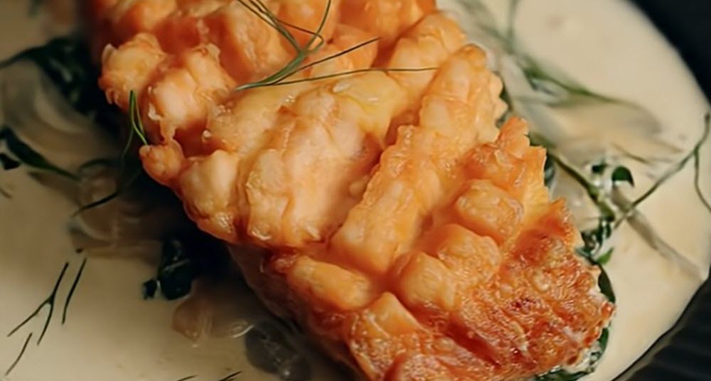 <a href="https://buythermopro.com/blogs/recipes/deep-fried-salmon" title="https://buythermopro.com/blogs/recipes/salmon-frito">Salmón frito</a>