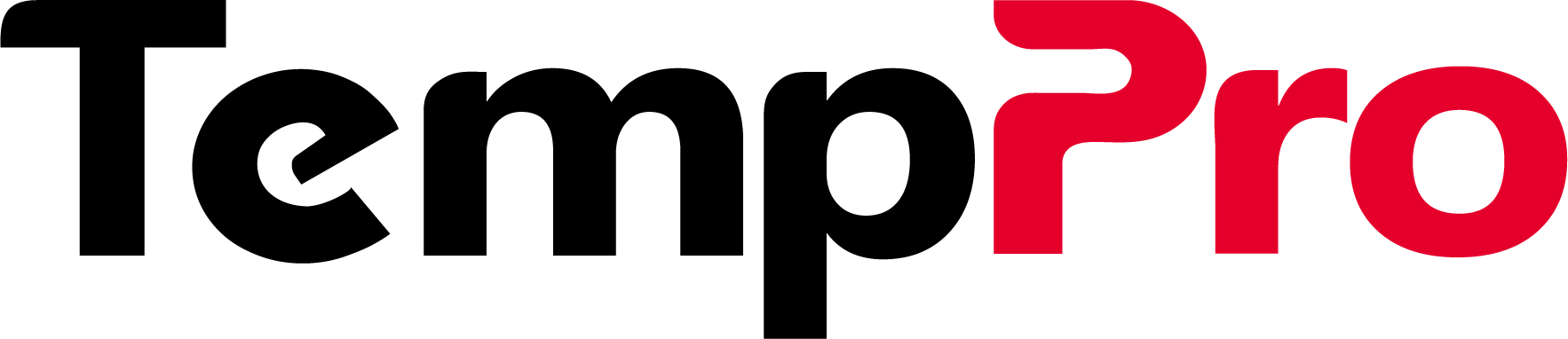 TempPro TM04