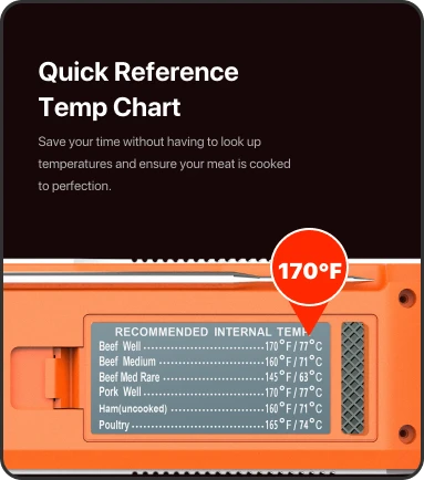 TempPro TP420