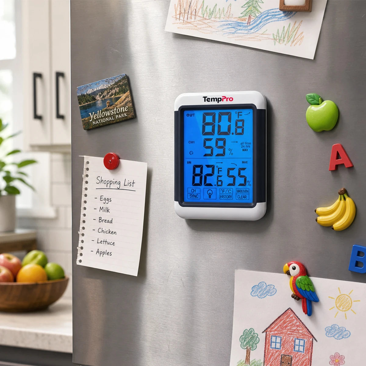 temppro Wireless Indoor Outdoor Thermometers tp65b 2