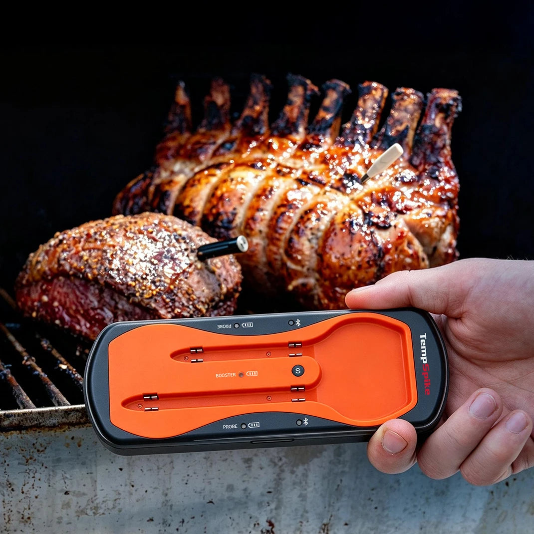 TempSpike TP963 Truly Wireless Meat Thermometer - 2 Probes – TempPro