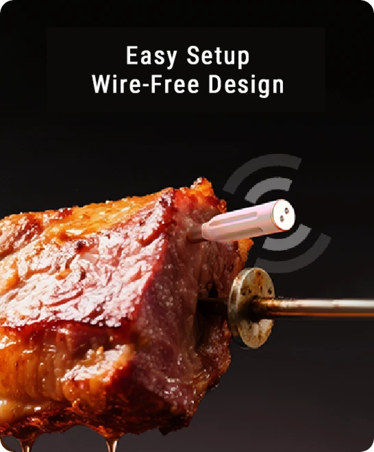 Thermomètre à viande Bluetooth sans fil TP962 Twin TempSpike – Portée de 150 m