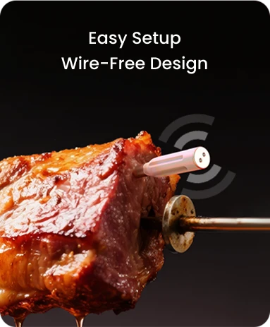 Thermomètre à viande Bluetooth sans fil TP962 Twin TempSpike – Portée de 150 m