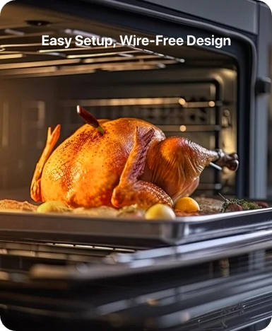 Thermomètre à viande intelligent sans fil TempPro TempSpike Plus TP971 — Véritablement sans fil, Bluetooth longue portée