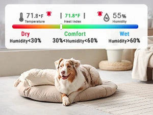 TempPro TP371 WiFi Hygrometer & Thermometer — Wi-Fi connection, Longer Battery