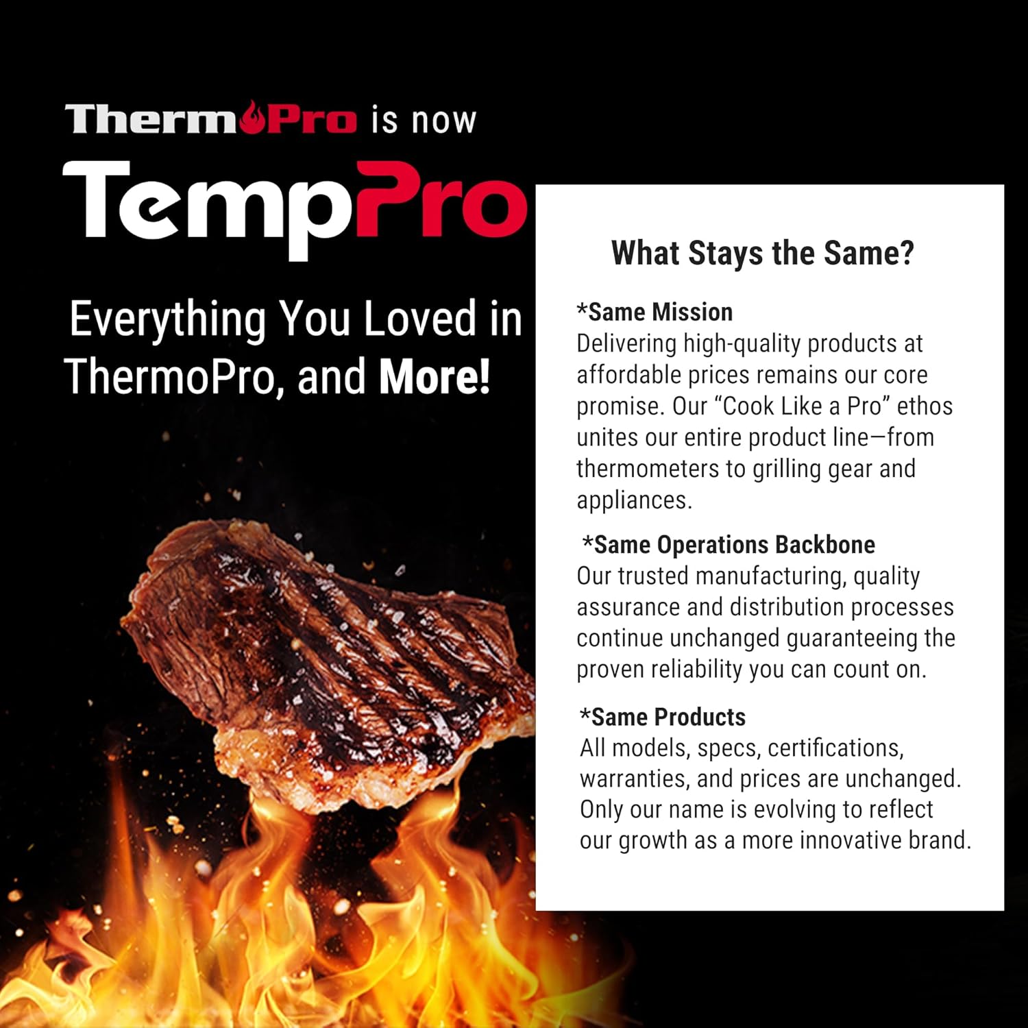 TP972W Twin TempSpike Plus 600FT Wireless Meat Thermometer