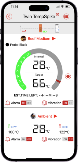 Smart BBQ Starts with TempSpike ThermoPro