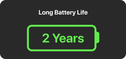 Thermomètres à viande à lecture instantanée TP02S, lot de 2