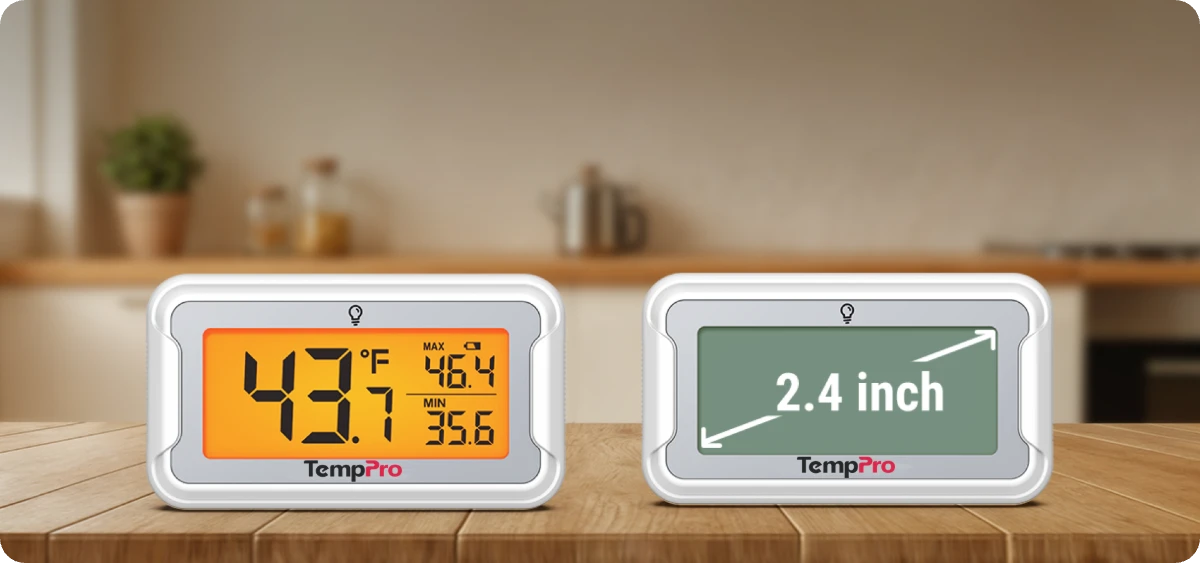 TempPro TP110