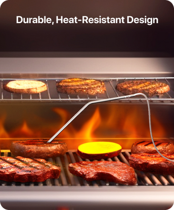 TempPro TempTrack CORE TP16 Leave-In Meat Thermometer — Oven & Grill Safe, Programmable Alarm
