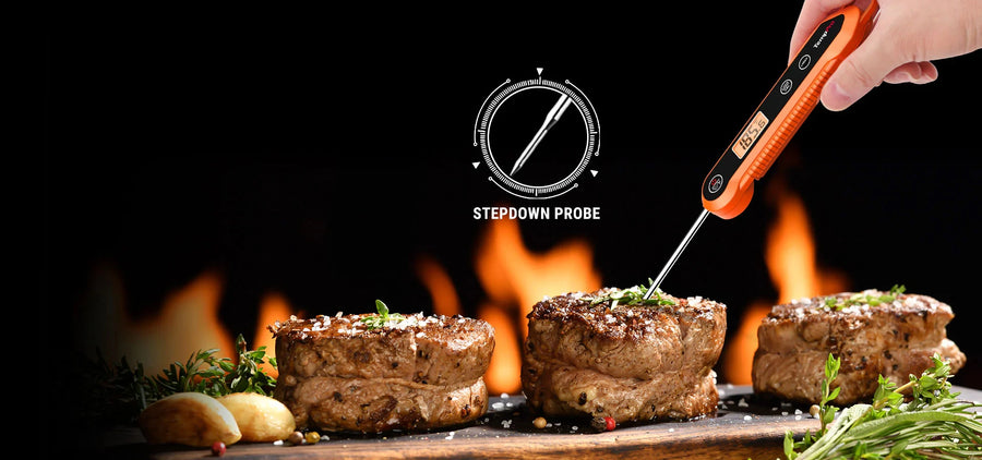 Thermomètre à viande sans fil TempPro TP20B + thermomètre à lecture instantanée TP03H — Lot économique