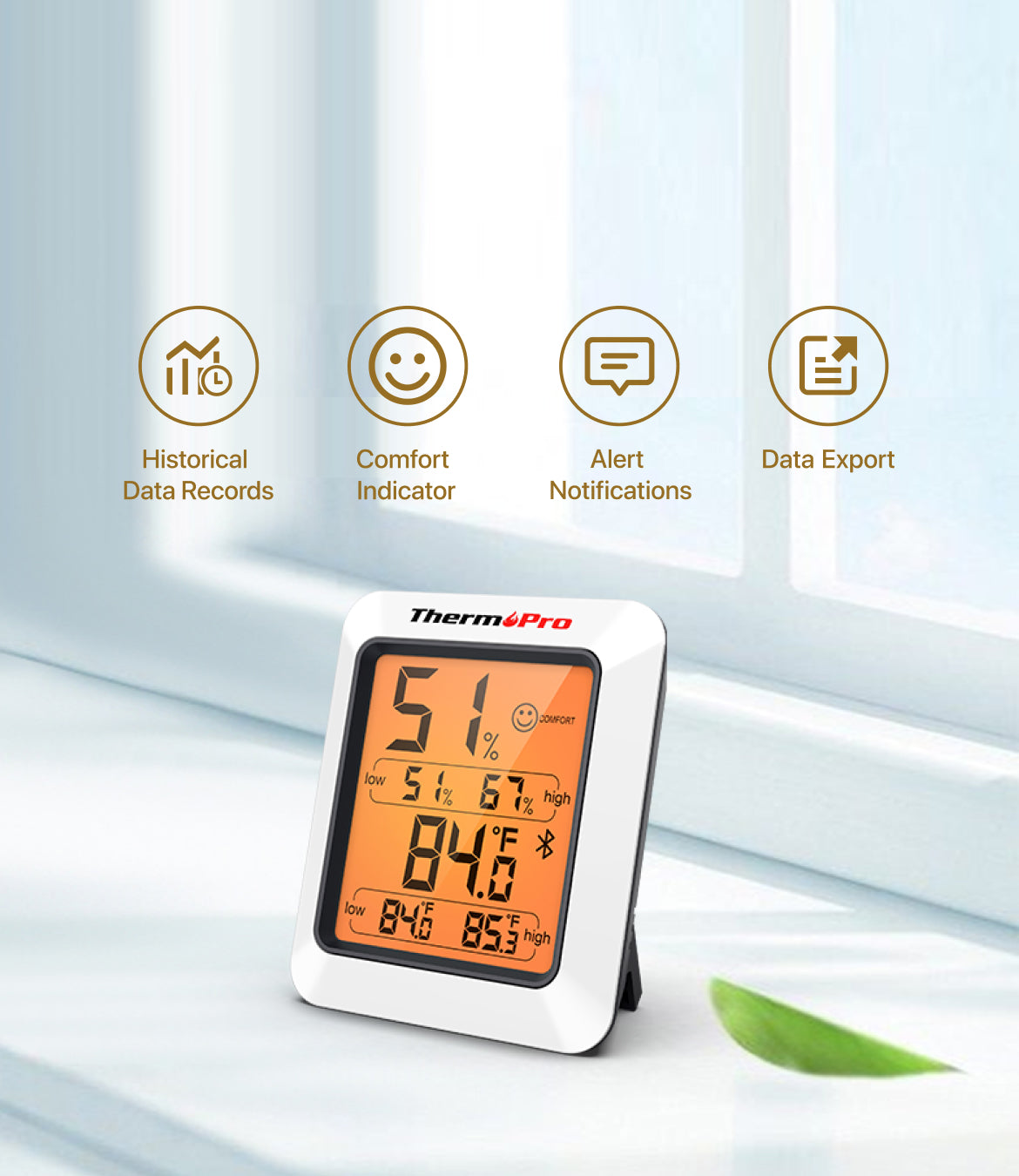 Thermomètre hygromètre Bluetooth TP350