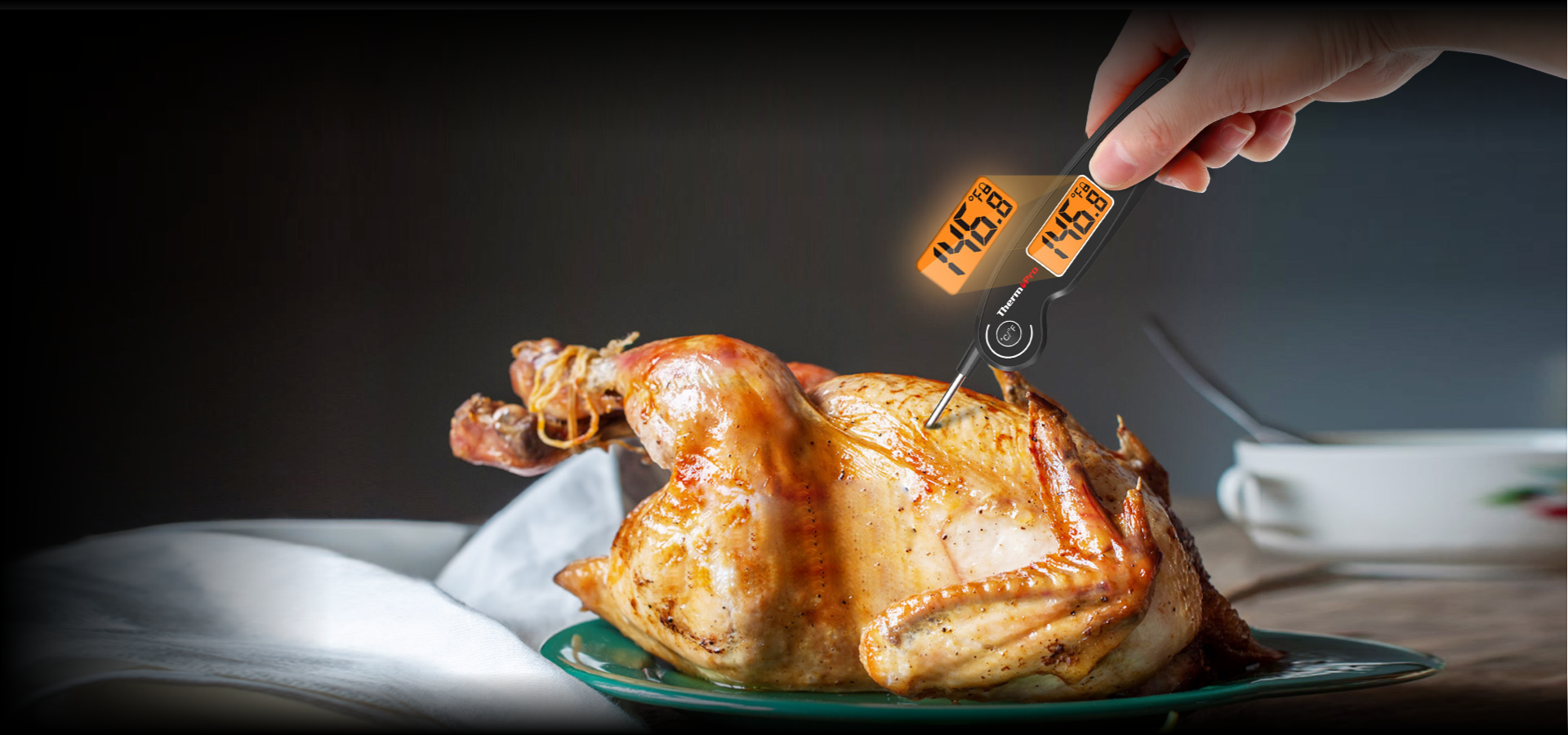 TempSpike TP960 & ThermoPro TP605