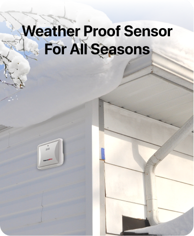 Thermomètre hygromètre sans fil TP63B