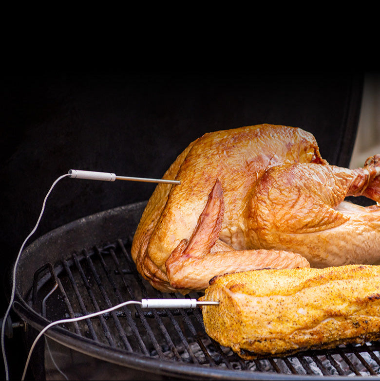 TempPro TP920 & TempPro TP605