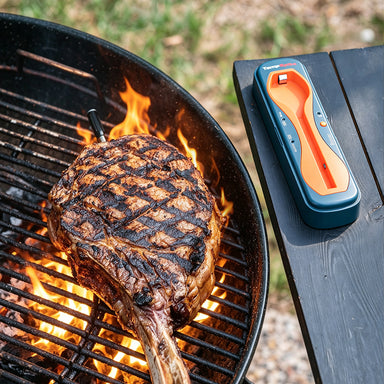 TempPro TempSpike TP960 Smart Wireless Meat Thermometer — Truly Wireless, Bluetooth