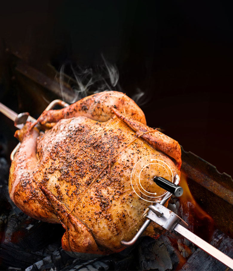 TempSpike TP960 & ThermoPro TP605