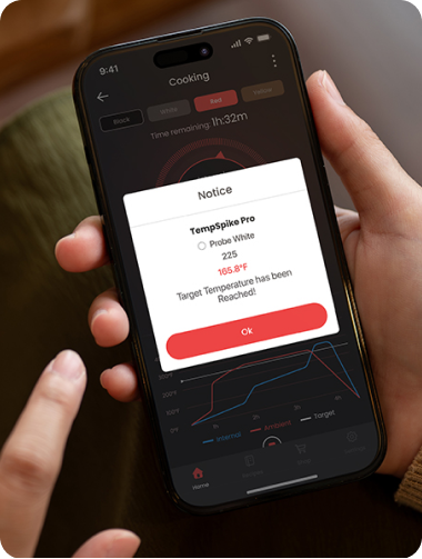 TempSpike Pro TP980 2 Probes & Lightning TP622