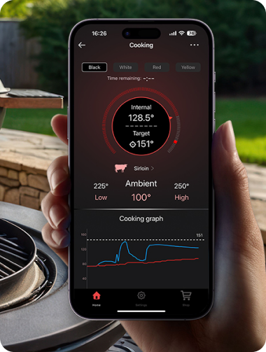 TempSpike Pro TP980 2 Probes & Lightning TP622